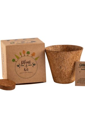 Plantable Kit with GHAF Seeds in Kraft Box