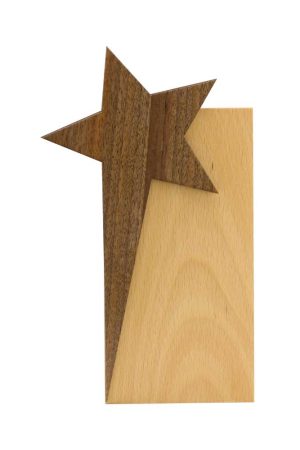 Star Design Wooden Trophy Award with Gift Box
