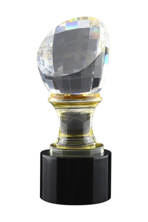 Crystal Glass Trophy in Wooden Box