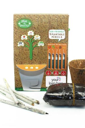 Plant A Pencil Kit