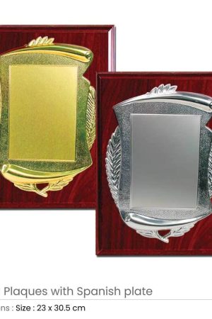Wooden Plaques with Spanish Plate